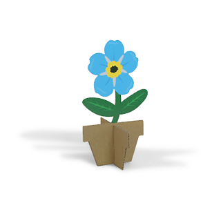 Bloemen