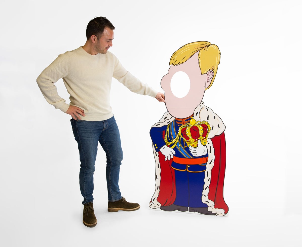 Stand-in Koning Willem-Alexander