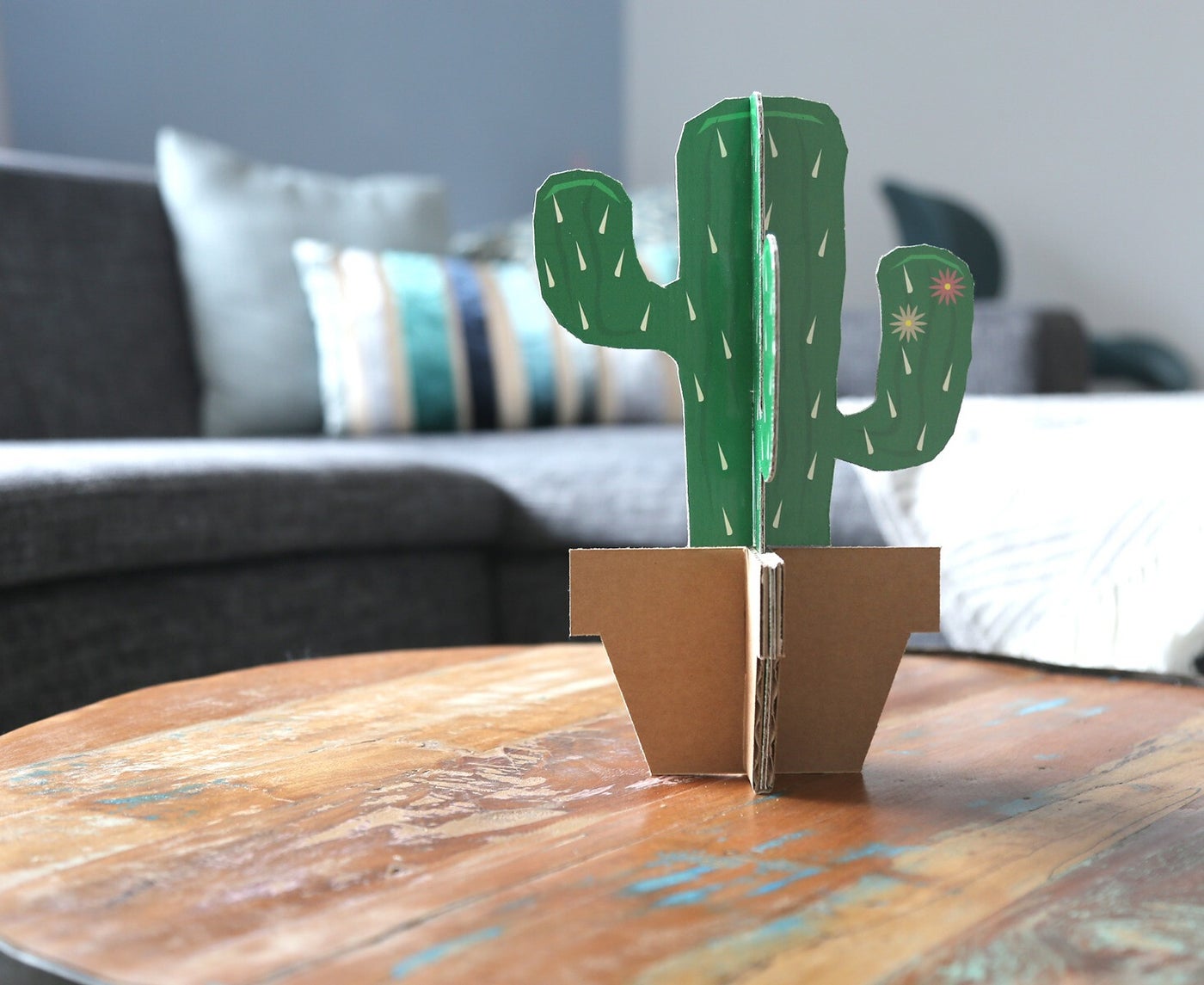 Cactus